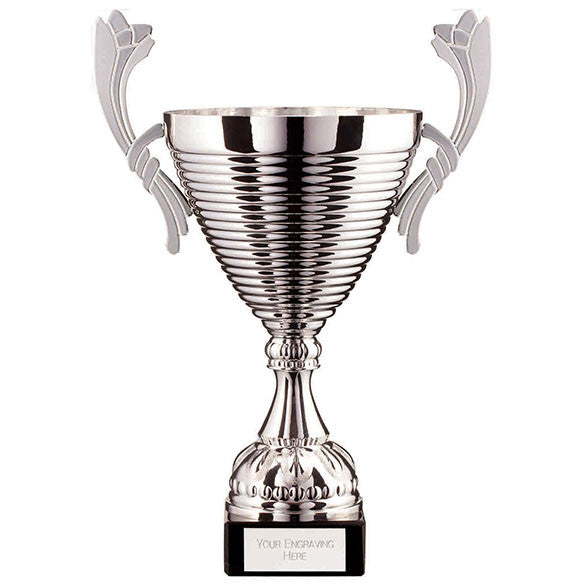 TR22522 - Silver sports cup by Gaudio Awards